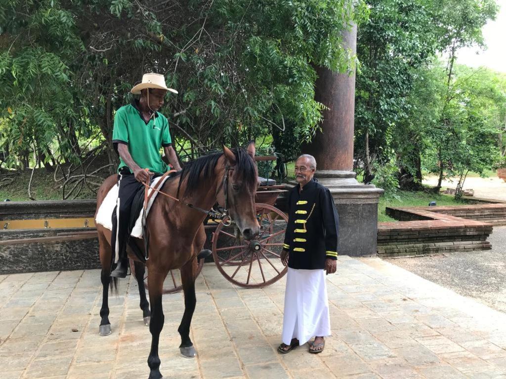 Aswadduma Hotel Dambulla Buitenkant foto
