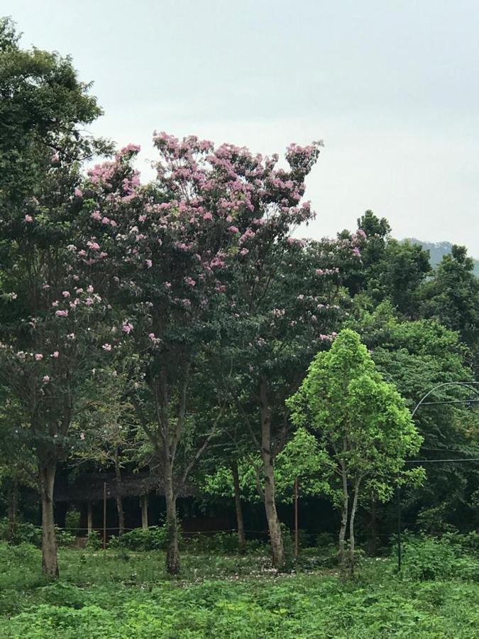 Aswadduma Hotel Dambulla Buitenkant foto