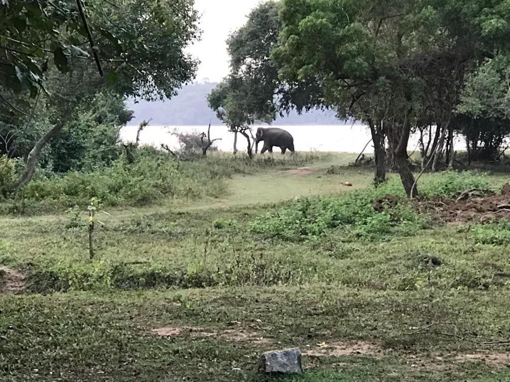 Aswadduma Hotel Dambulla Buitenkant foto