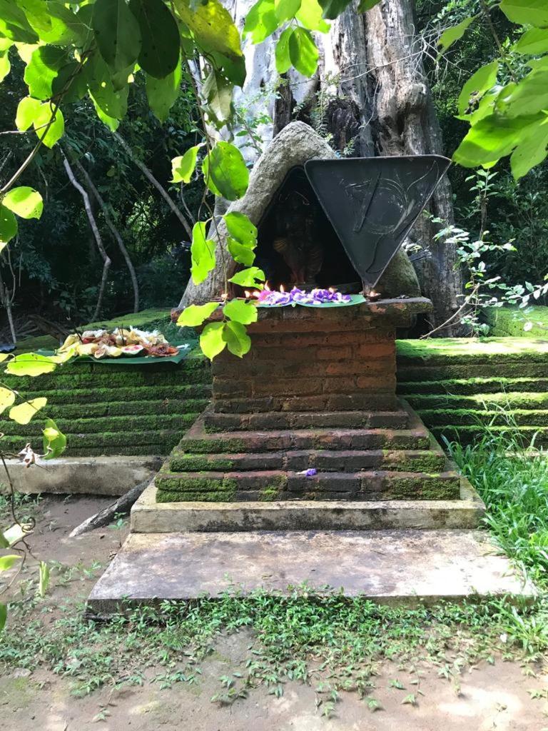 Aswadduma Hotel Dambulla Buitenkant foto